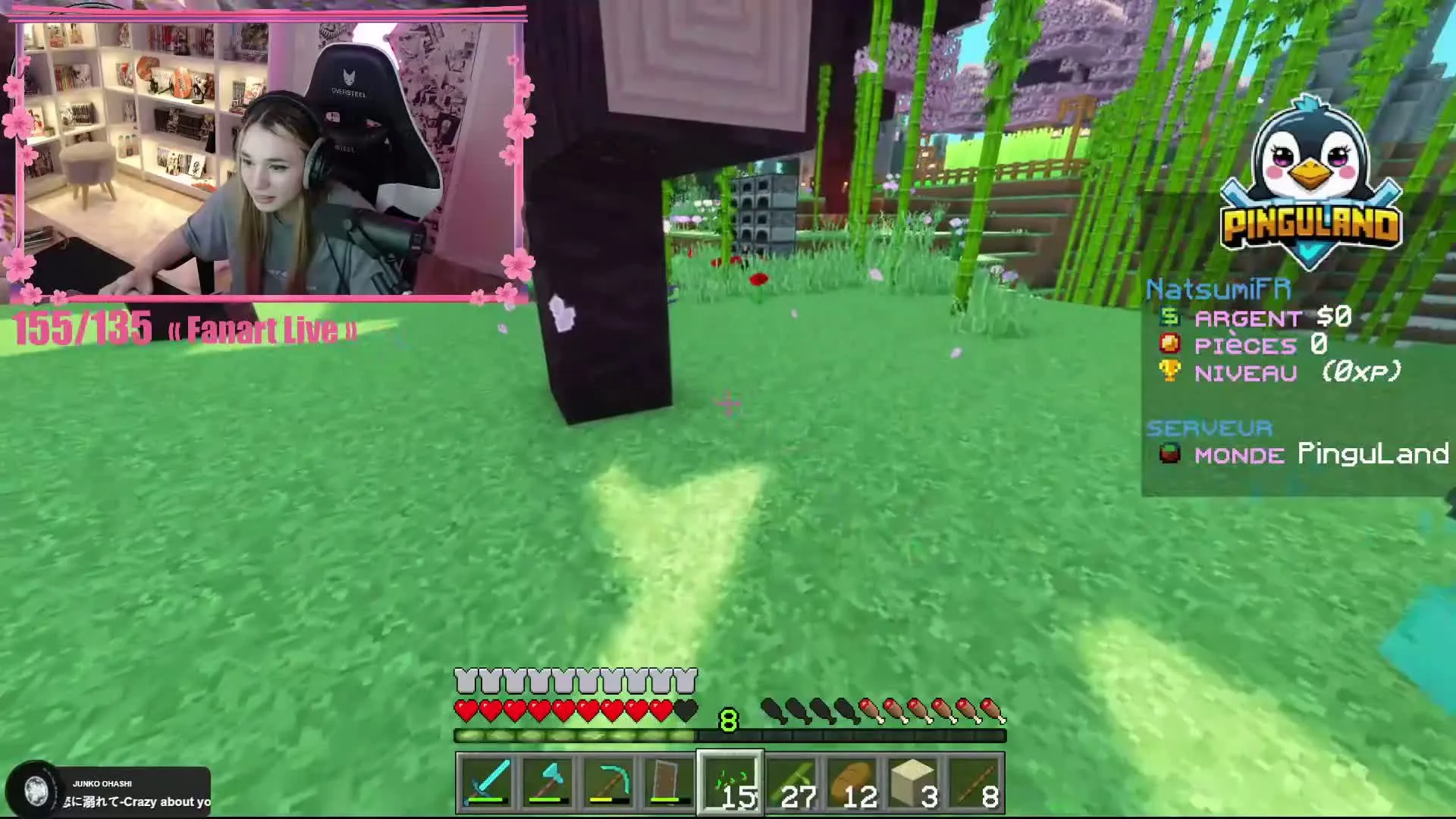 Extrait de Minecraft sur la chaîne Natsumivlr